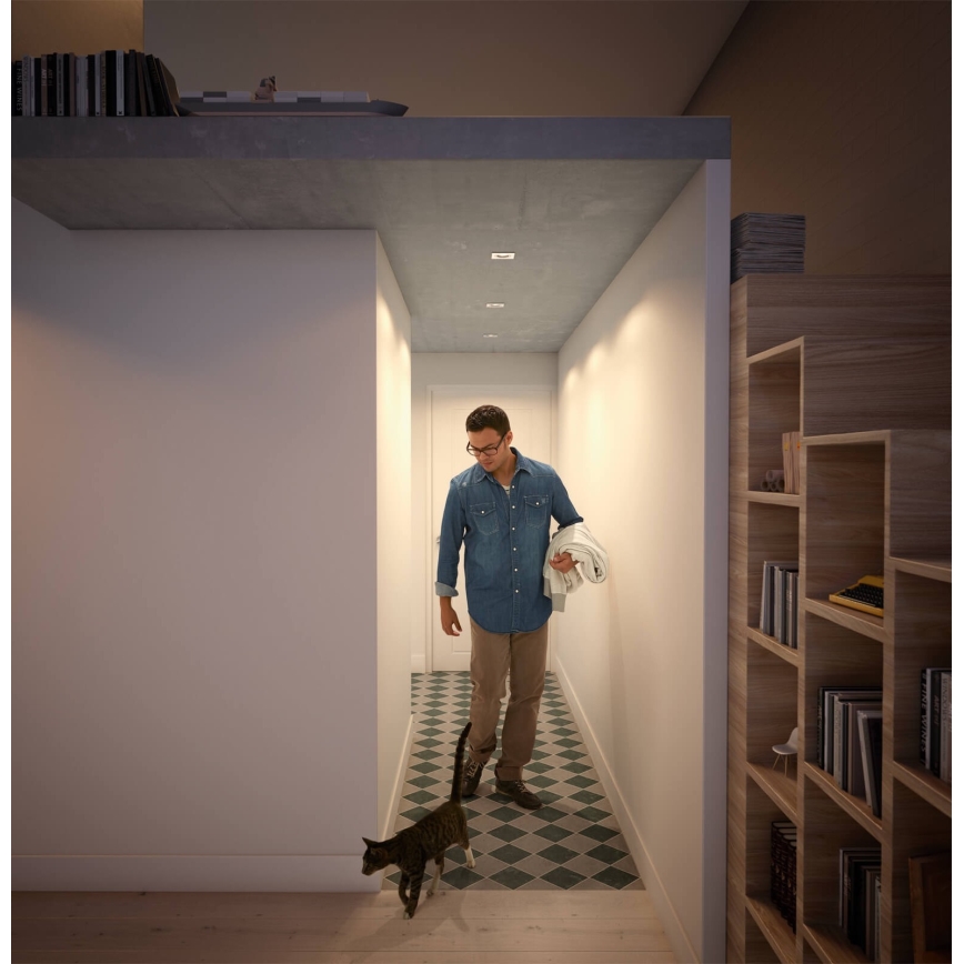 Philips 50393/11/P0 - CONJUNTO 3x Luz de teto suspensa fosca LED SHELLBARK LED/4,5W/230V