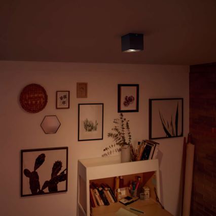 Philips - Spot LED dimerizável LED/4,5W/230V