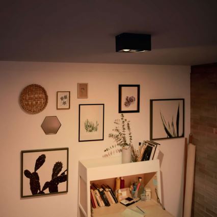 Philips - Foco LED com regulação 2xLED/4,5W/230V