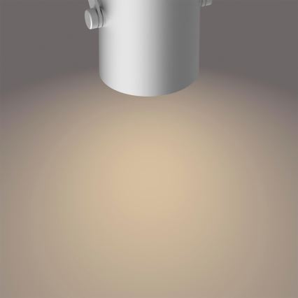 Philips 50662/14/P0 - Luminária de teto LED BYRE 2xLED/4,3W/230V 2200/2500/2700K