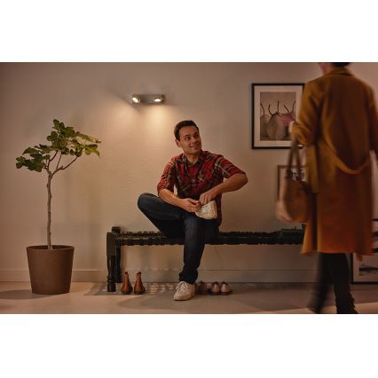 Philips 53192/48/P0 - Foco LED MILLENNIUM 2xLED/4,5W/230V