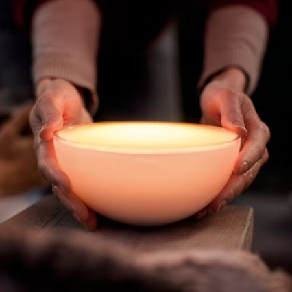Philips - Lâmpada de mesa LED RGB regulável Hue GO LED/6W/230V