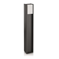 Philips - Candeeiro de chão exterior BRIDGE 1xE27/14W/230V IP44 80,2 cm