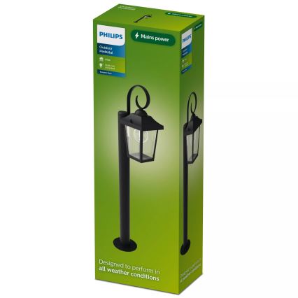 Philips - Candeeiro de exterior BUZZARD 1xE27/25W/230V IP44