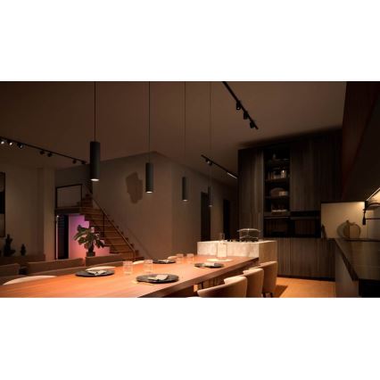 Philips - Candelabro suspenso para sisteam de carril LED RGB com regulação Hue PERIFO LED RGB/5,2W/24V 2000-6500K