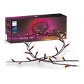 Philips - Cordão de luzes LED RGBW regulável para exterior HUE WHITE AND COLOR AMBIANCE 500xLED 44,4 m 2000-6500K IP54
