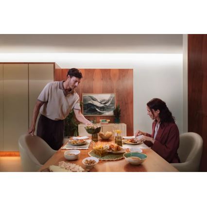 Philips - Fita LED RGBW dimerizável Hue FLUX 10 m LED/60W/230V 2200-6500K