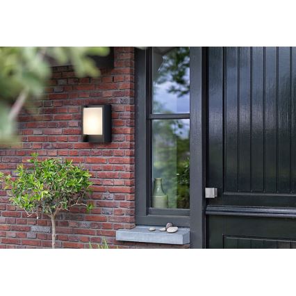 Philips - Iluminação de parede exterior LED ARBOUR LED/3,8W/230V 2700K IP44