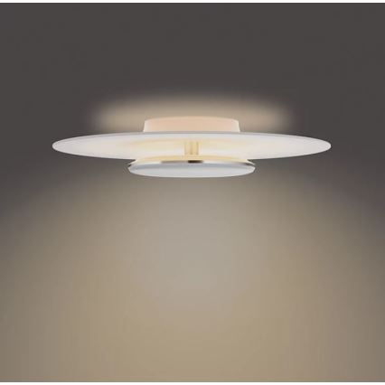 Philips- Iluminação de teto LED com regulação SCENE SWITCH LED/40W/230V 2700K prateado