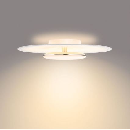 Philips- Iluminação de teto LED com regulação SCENE SWITCH LED/40W/230V 2700K prateado