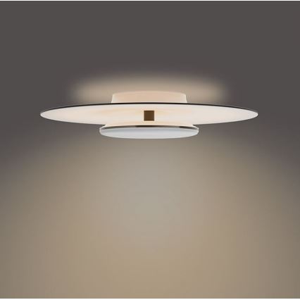 Philips- Iluminação de teto LED com regulação SCENE SWITCH LED/40W/230V 2700K preto