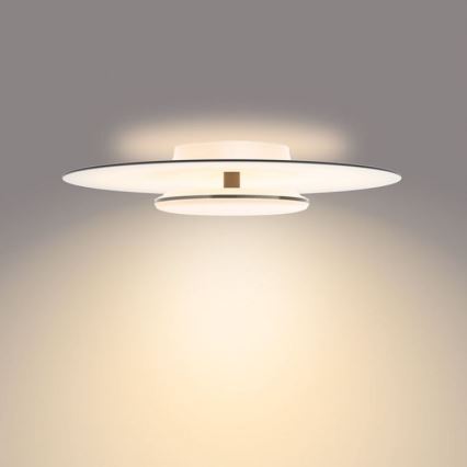 Philips- Iluminação de teto LED com regulação SCENE SWITCH LED/40W/230V 2700K preto