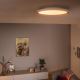 Philips - Iluminação de teto LED com regulação Hue LED/19W/230V 2200-6500K + controlo remoto
