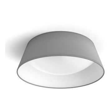 Philips - Iluminação de teto LED LED/14W/230V cinzenta