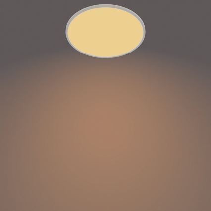 Philips - Iluminação exterior LED com regulação SCENE SWITCH LED/15W/230V IP54 branco