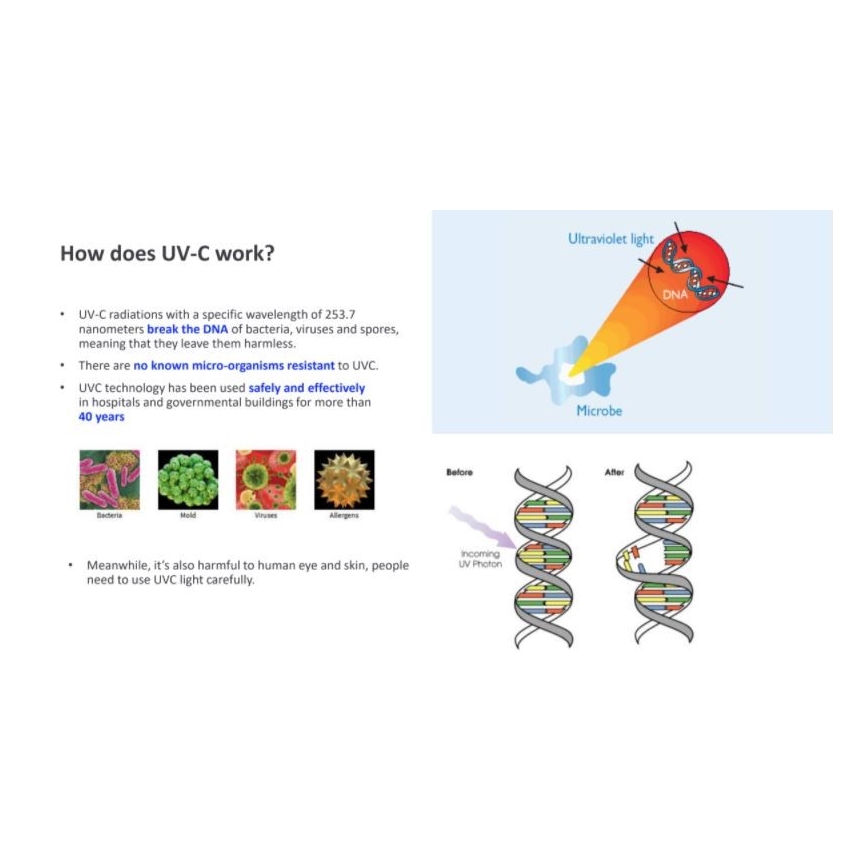 Philips - Lâmpada germicida desinfetante com sensor UV-C/24W/230V