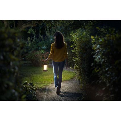 Philips - Lâmpada portátil LED regulável CICERO LED/6W/5V 4000 mAh IP54