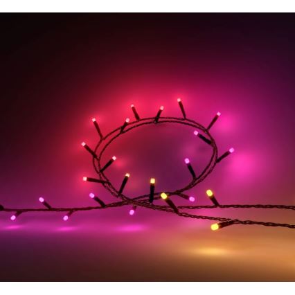Philips - Cordão de luzes LED RGBW regulável para exterior HUE WHITE AND COLOR AMBIANCE 500xLED 44,4 m 2000-6500K IP54