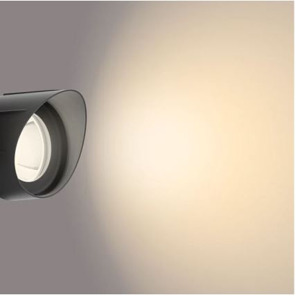 Philips - Luminária de LED para exterior, spot LED/24W/230V 2700K IP44