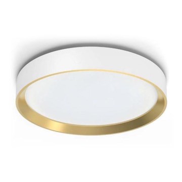 Philips - Luminária de teto LED regulável HANNO LED/24W/230V 2700K branco