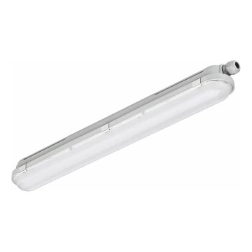 Philips - Luminária técnica fluorescente LED CORELINE LED/25W/230V 120 cm IP66