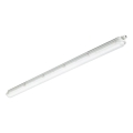 Philips - Luminária técnica LED fluorescente CORELINE LED/37,5W/230V 150 cm IP66