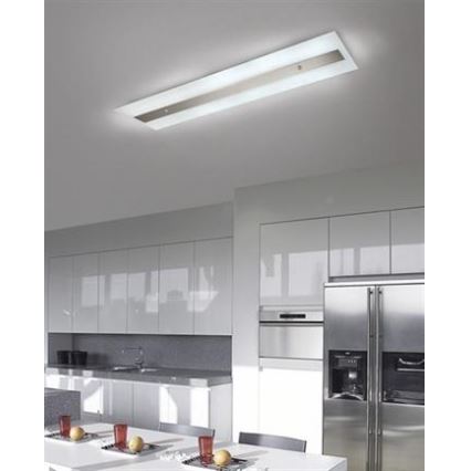 Philips Massive 85115/14/31 - Ceiling attached iluminação DECOLINE 2xG5/14W/230V