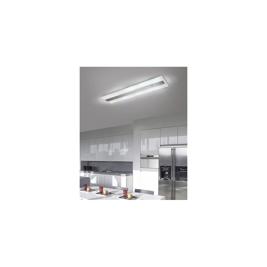 Philips Massive 85115/14/31 - Ceiling attached iluminação DECOLINE 2xG5/14W/230V