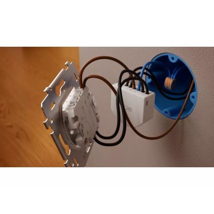 Philips - Módulo para interruptor de parede Hue com 2 botões