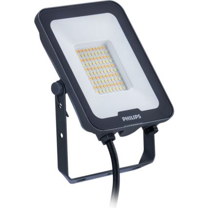 Philips - Refletor LED LEDINAIRE ALL-IN LED/30W/230V 3000/4000/6500K IP65