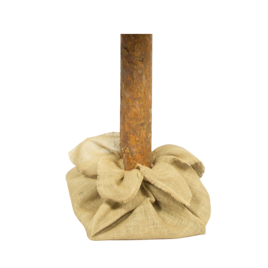 Árvore de Natal em tronco 180 cm pinheiro