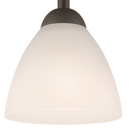 Plafonier ADRIANO 1xE27/60W/230V faia