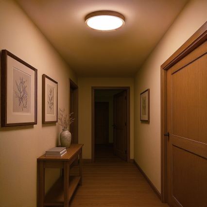 Plafon de teto LED ORINOKO LED/36W/230V, Ø 48 cm, bege