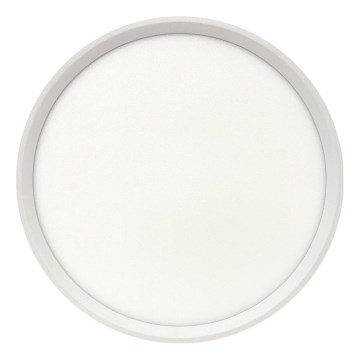 Plafon LED/24W/230V 3000/4000/6500K Ø 30 cm branco