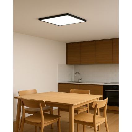 Plafon LED/40W/230V 3000/4000/6500K 50x50 cm preto