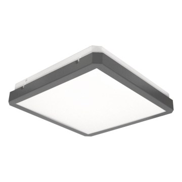 Plafon LED RAVA com sensor de movimento e crepúsculo LED/38W/230V 4000K (branco neutro) 41x41 cm antracite