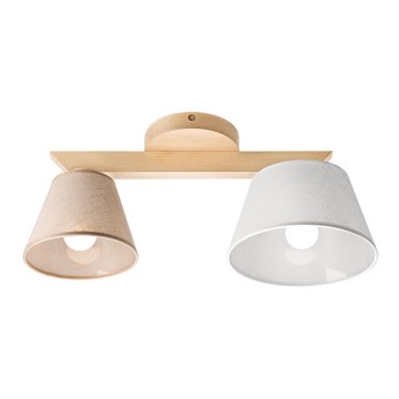 Plafonier ANTONIO embutido 2xE14/40W/230V faia