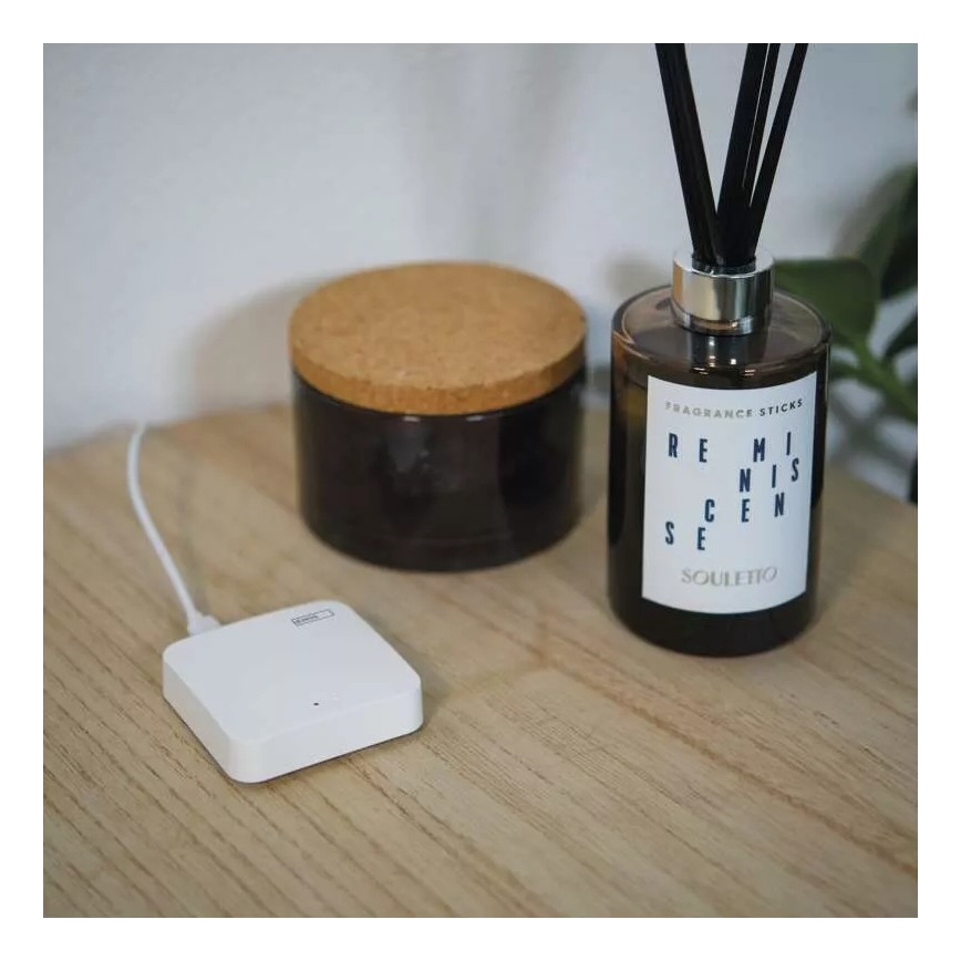 Portal inteligente GoSmart ZigBee 3.0 5V Wi-Fi