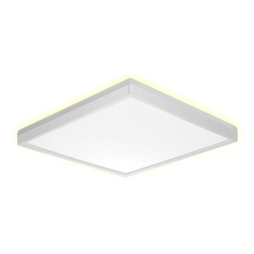 Prezent 27305 - Iluminação de teto para casa de banho LED CORDIA SQ LED/12W/230V 3000/6000K IP54 branco