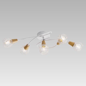 Prezent 27506 - Candelabro integrado TAMETA 5xE14/40W/230V