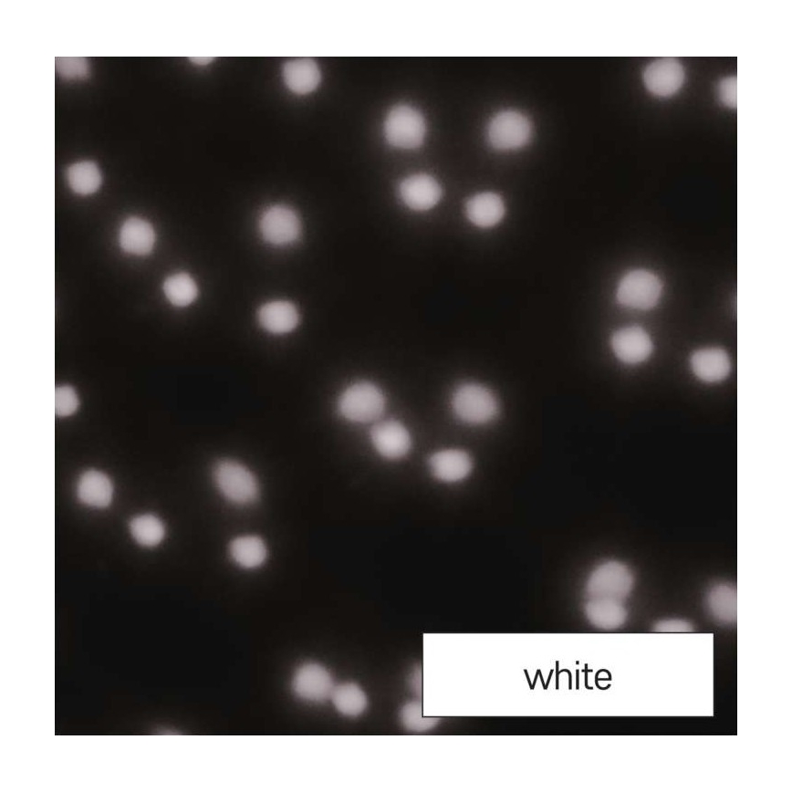 Projetor exterior de Natal LED LED/4W/230V IP44 branco