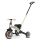 QPlay - Triciclo infantil 3 em 1 STAGER bege