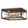 Quintiesse - Luminária de teto LED STYX, 8W, 230V, preta/dourada