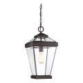 Quoizel - Candelabro suspenso exterior RAVINE 1xE27/60W/230V IP23 castanho