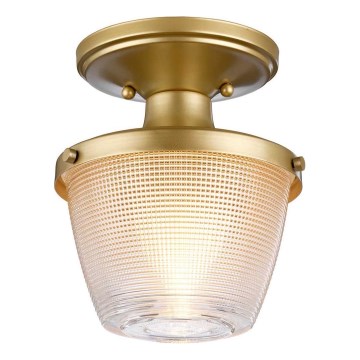 Quoizel - Iluminação de teto para casa de banho DUBLIN 1xE27/40W/230V IP44 dourado
