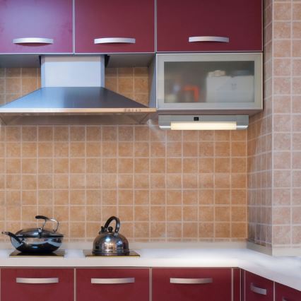 Rabalux - Iluminação de armário BAND LIGHT 1xG13/10W/230V 39,5 cm prateado