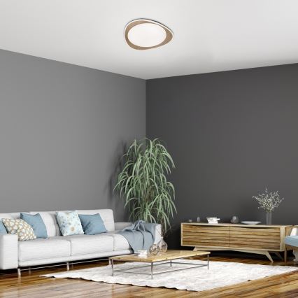 Rabalux - Candeeiro de tecto LED/24W/230V Ø 45 cm