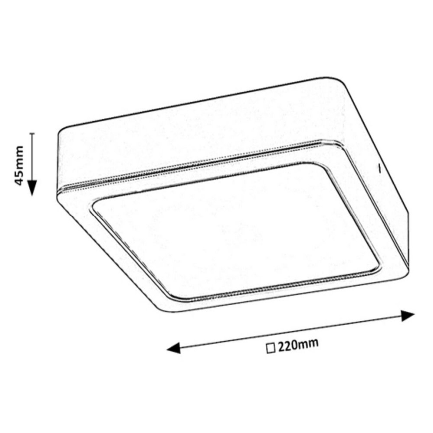 Rabalux - Iluminação de teto LED LED/24W/230V 22x22 cm