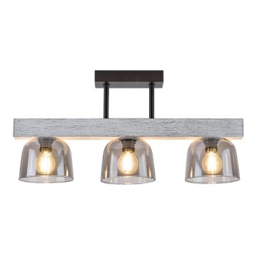 Rabalux 3119 - Candelabro suspenso 3xE14/40W/230V