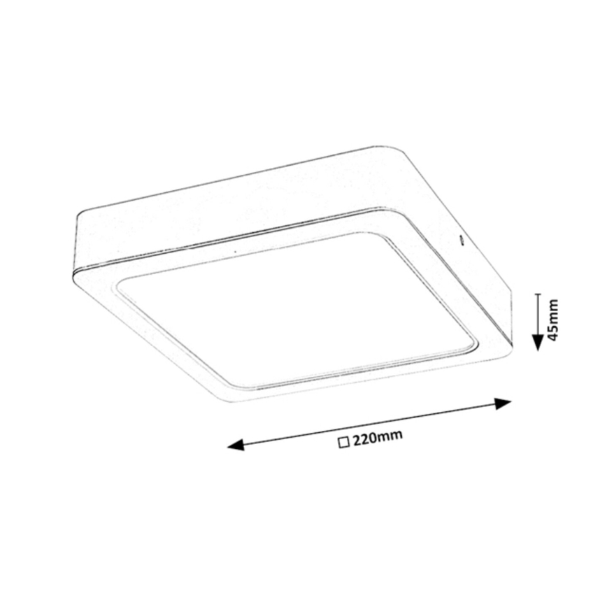 Rabalux - Iluminação de teto LED LED/24W/230V 22x22 cm